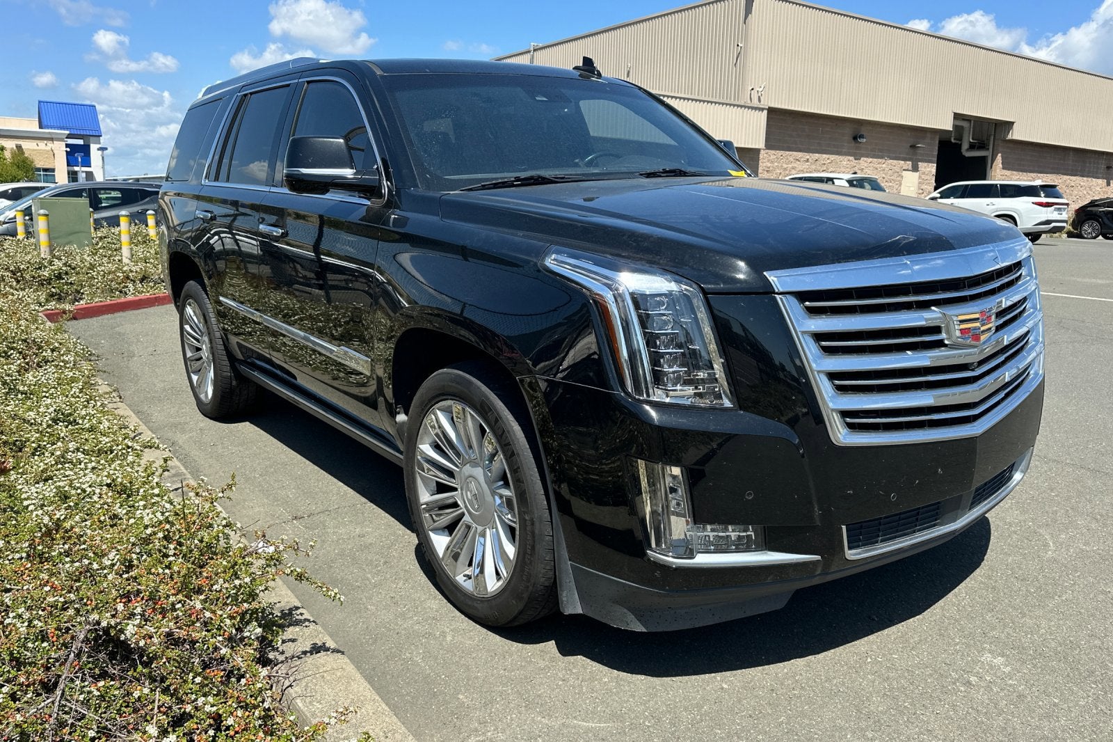2016 Cadillac Escalade 4WD 4dr Platinum
