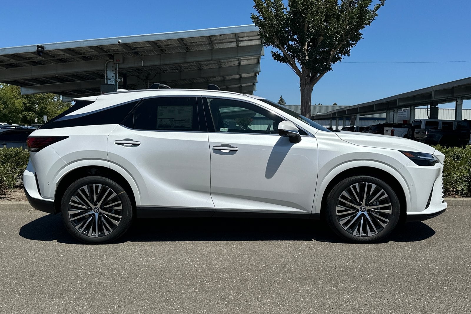 2026 Lexus RX PREMIUM PLUS