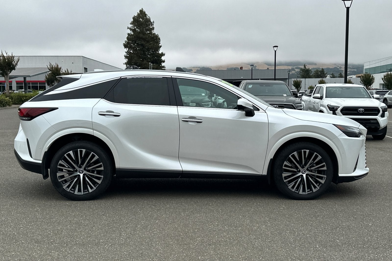 2025 Lexus RX RX 350h Premium Plus AWD