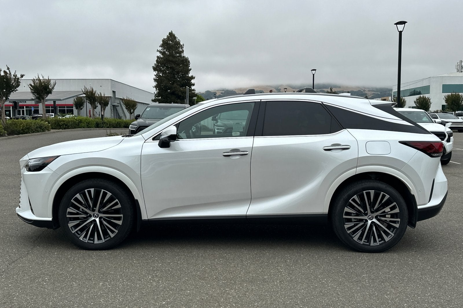 2025 Lexus RX RX 350h Premium Plus AWD