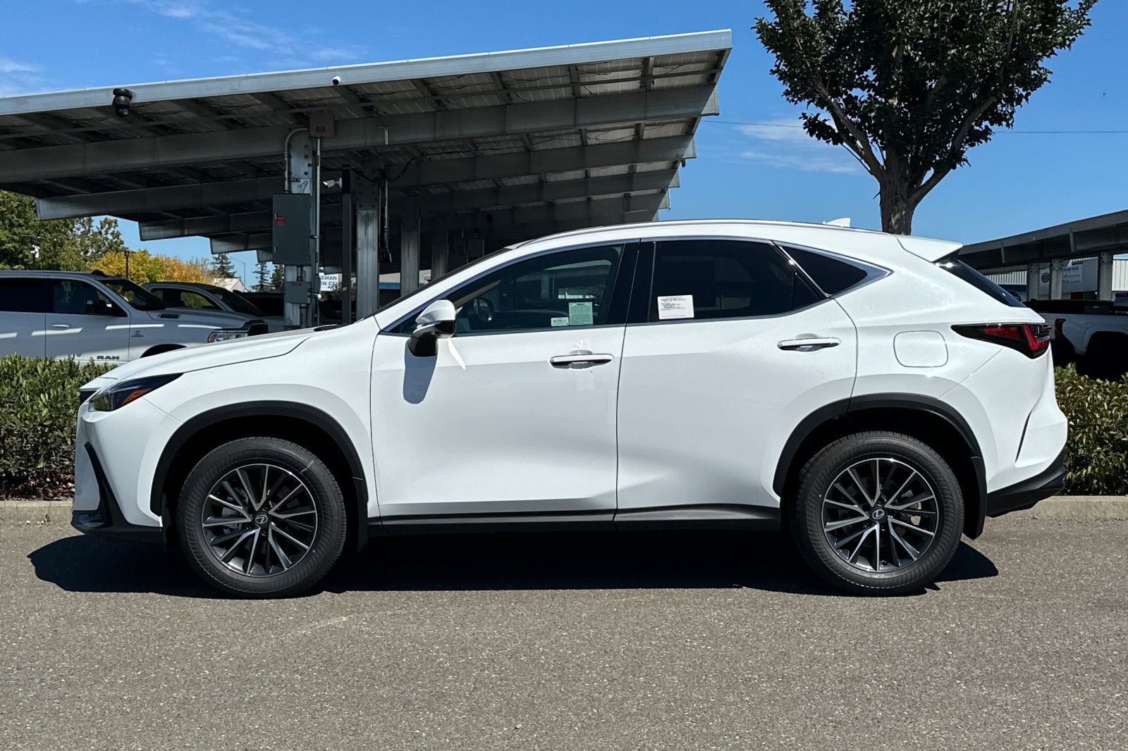 2026 Lexus NX NX 350 Premium AWD