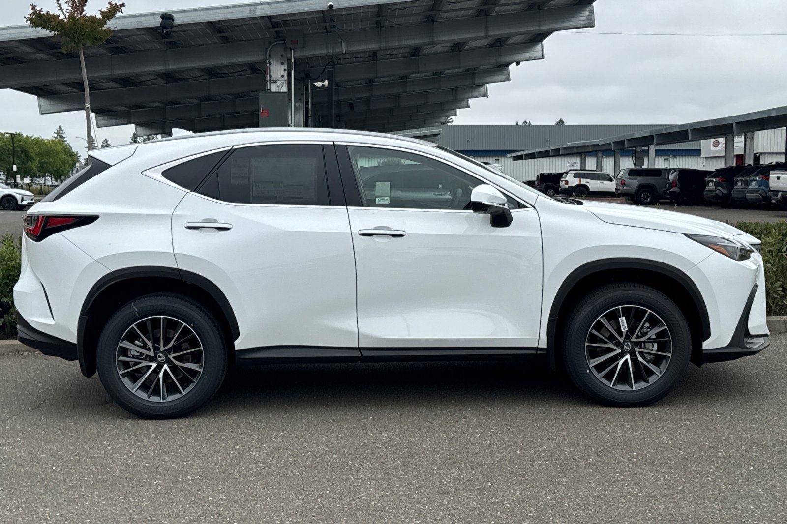 2026 Lexus NX NX 350 Premium AWD
