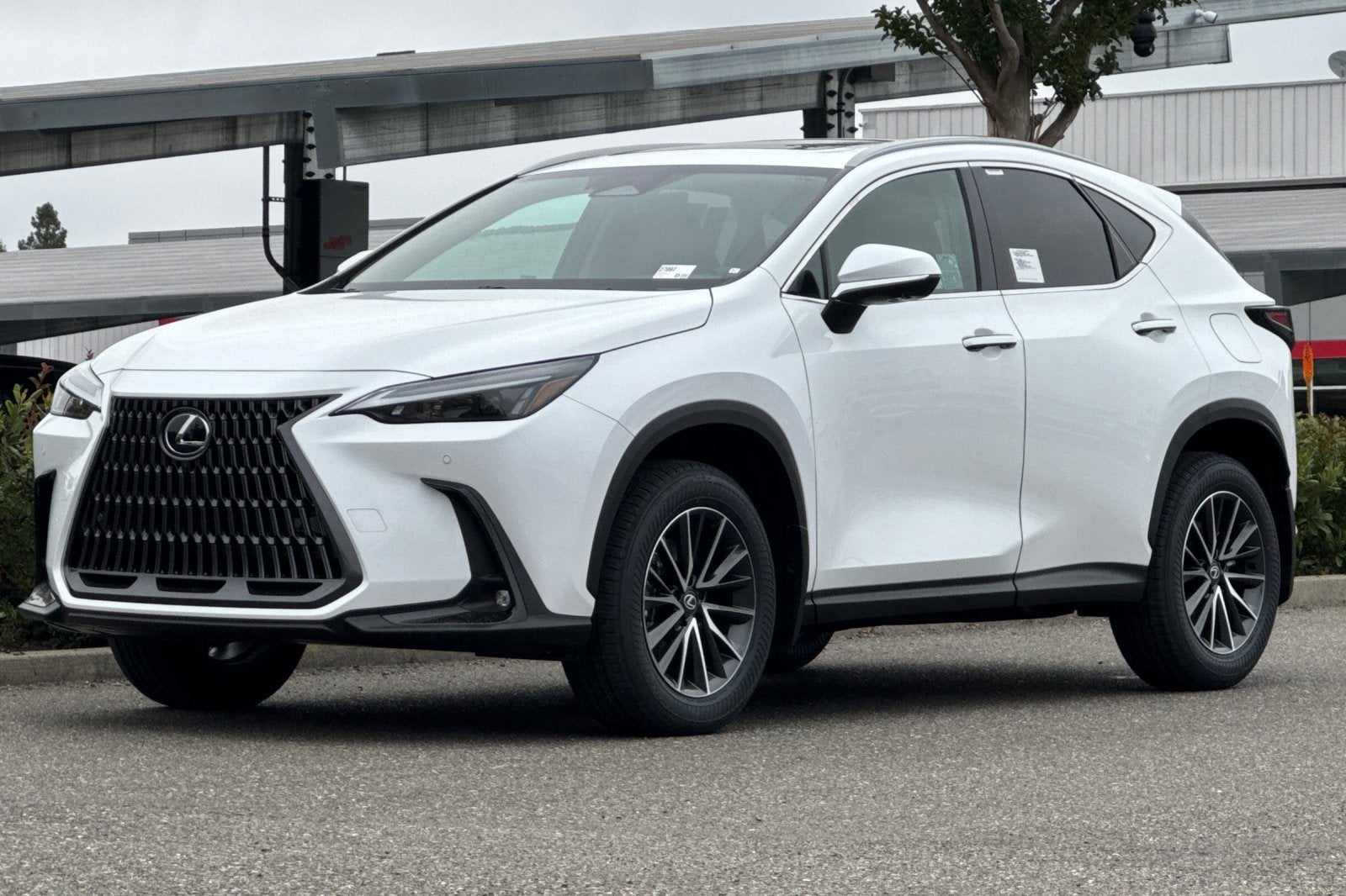 2026 Lexus NX NX 350 Premium AWD