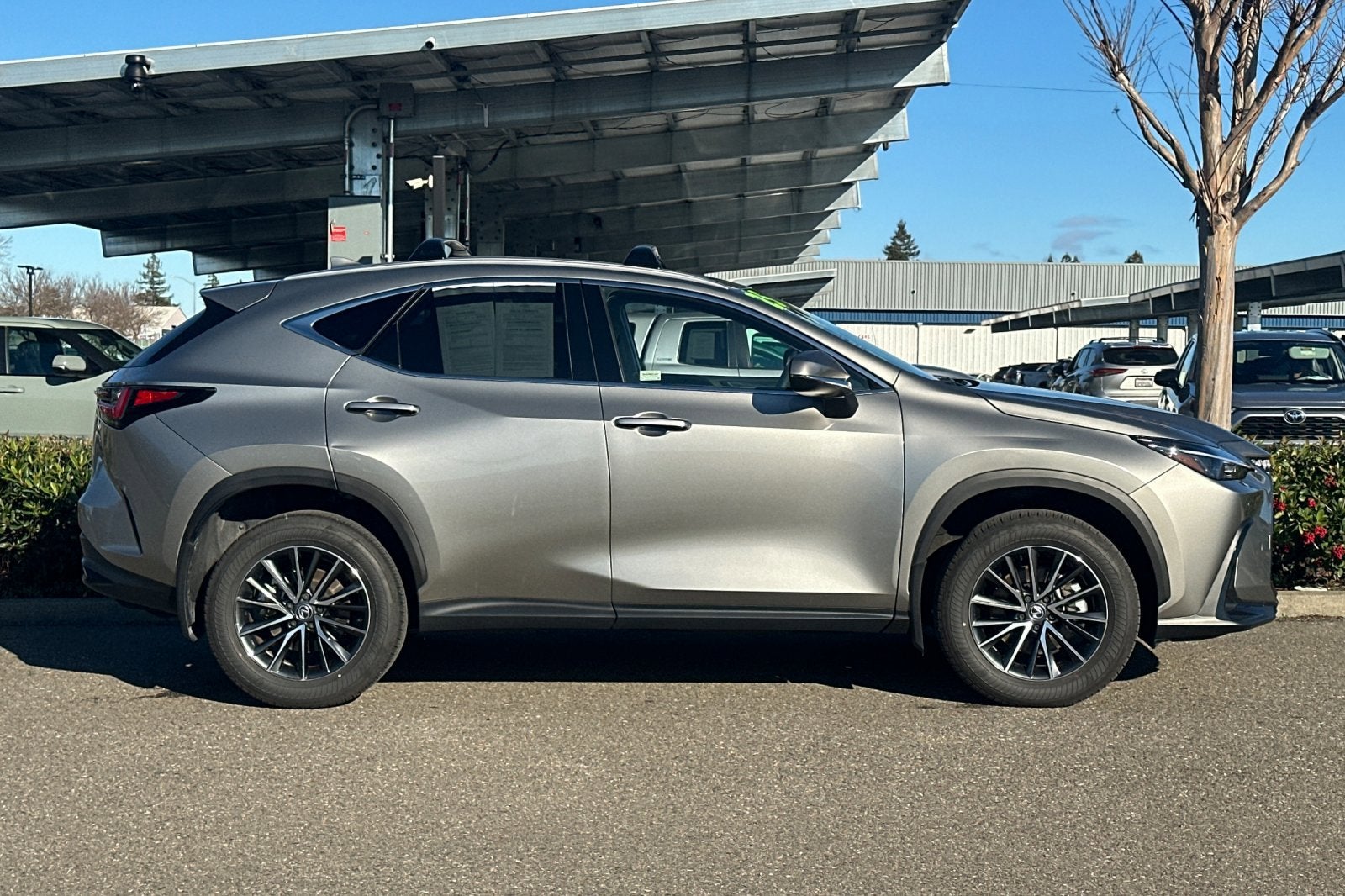 2025 Lexus NX NX 350 Premium AWD