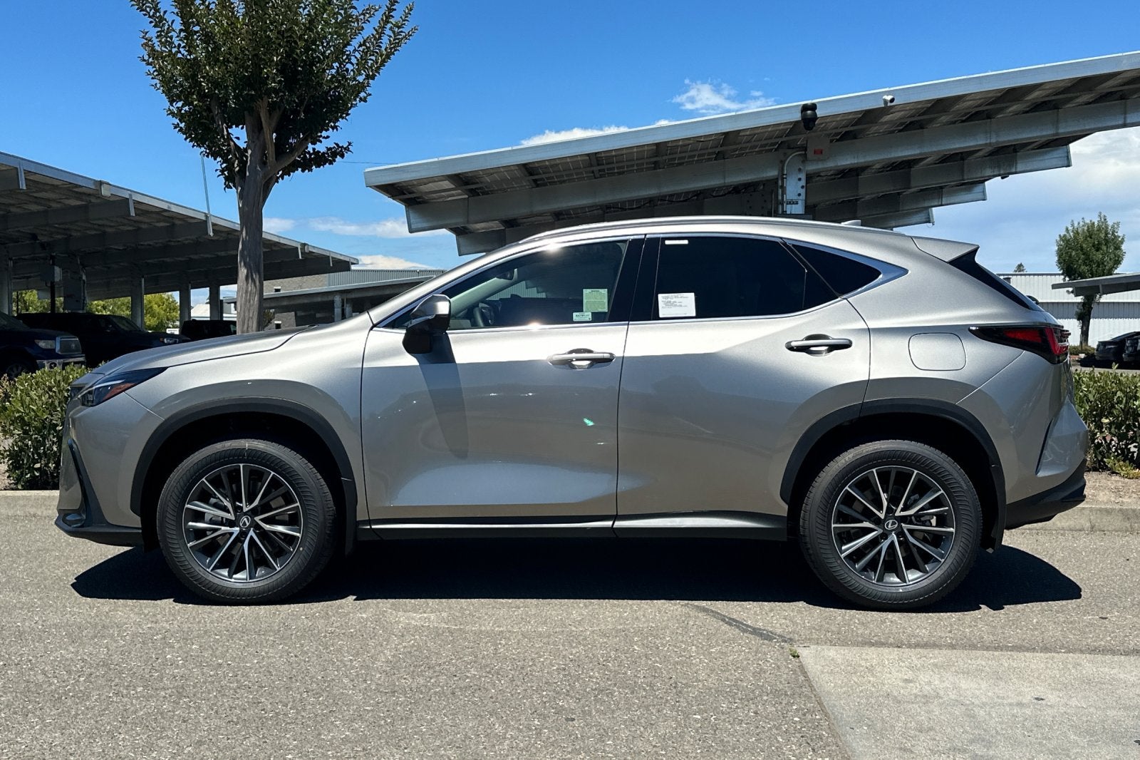 2026 Lexus NX NX 350 Premium AWD