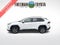 2024 Toyota RAV4 XLE FWD