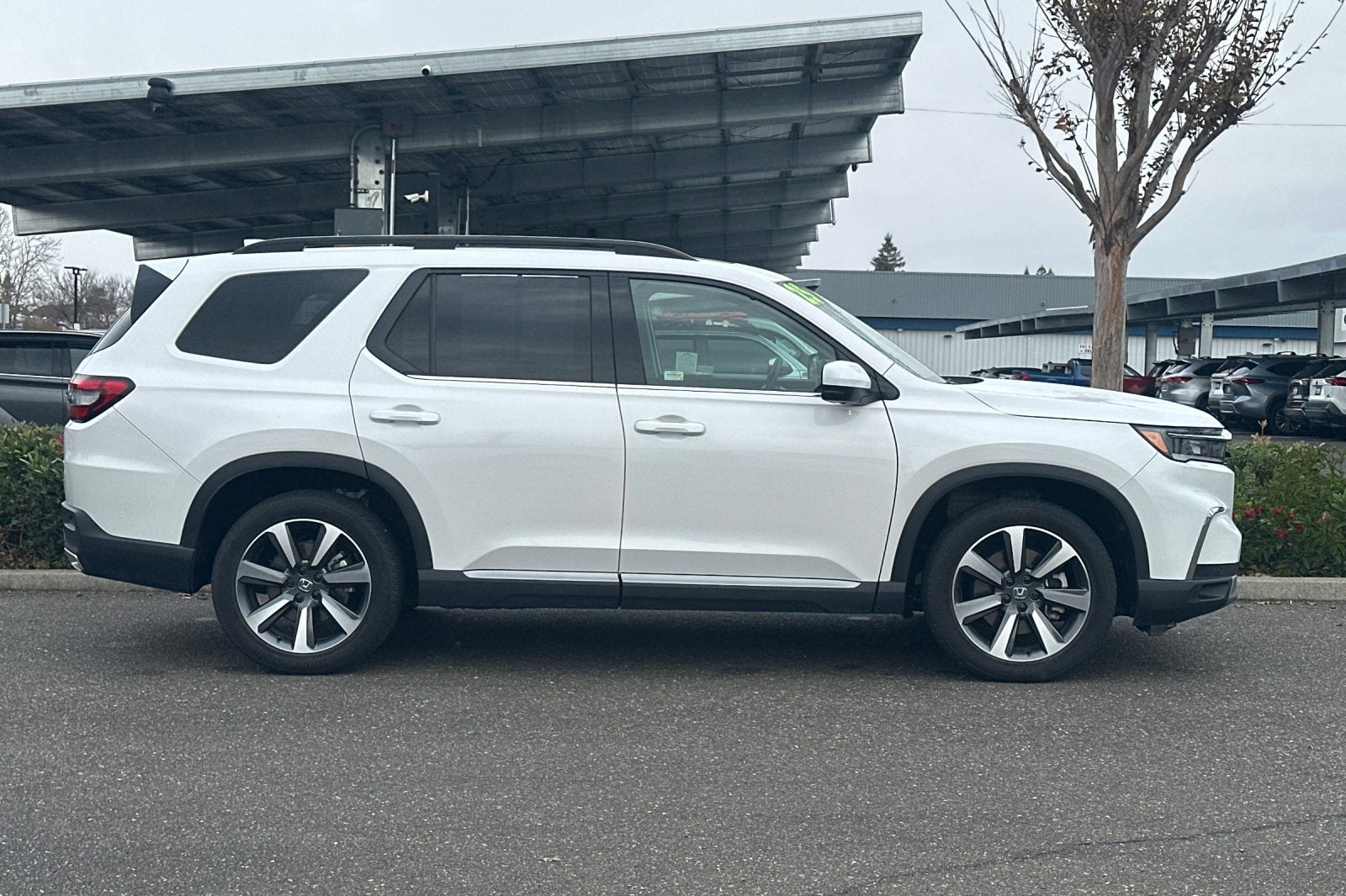 2025 Honda Pilot Elite AWD