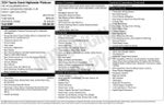 2024 Toyota Grand Highlander XLE AWD