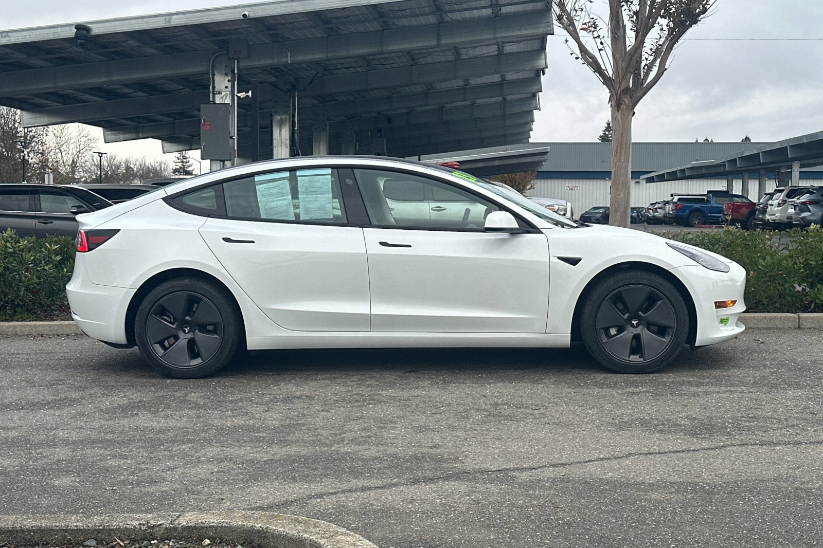 2023 Tesla Model 3 RWD