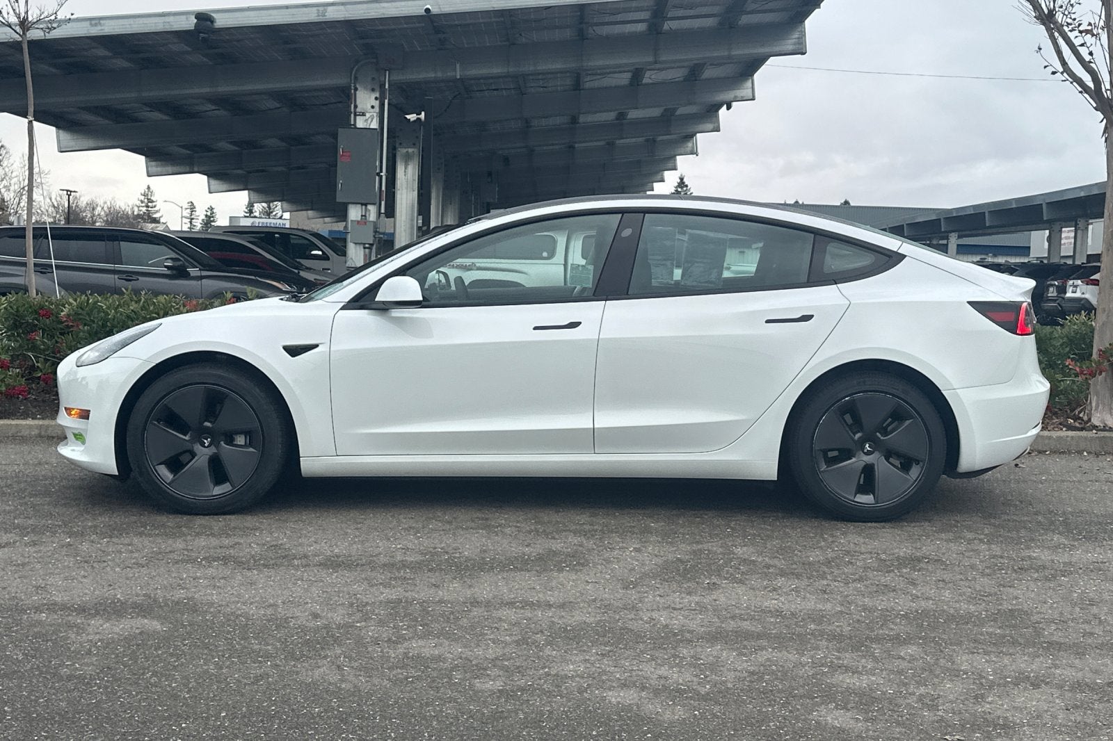 2023 Tesla Model 3 RWD