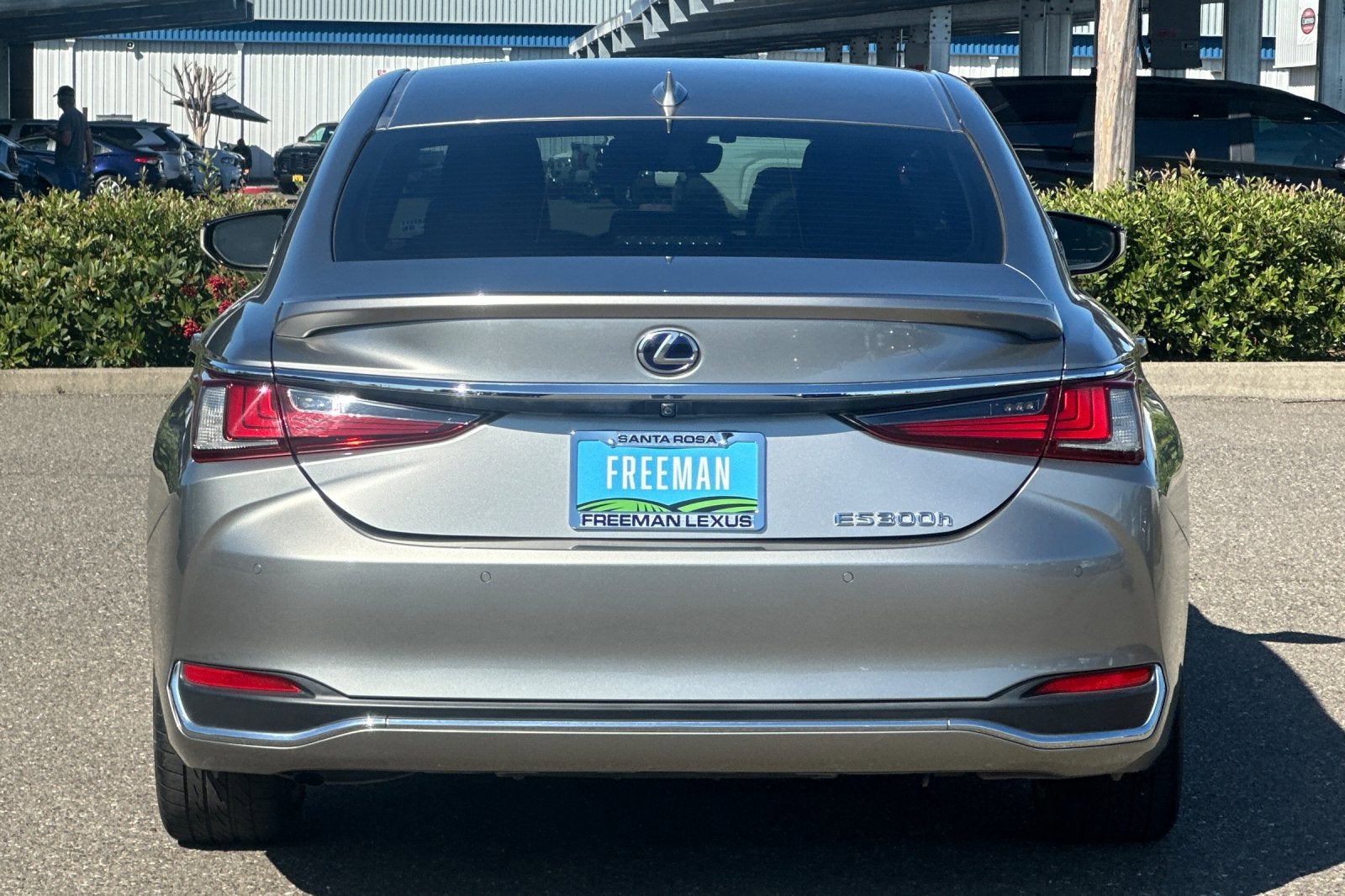 2019 Lexus ES ES 300h FWD