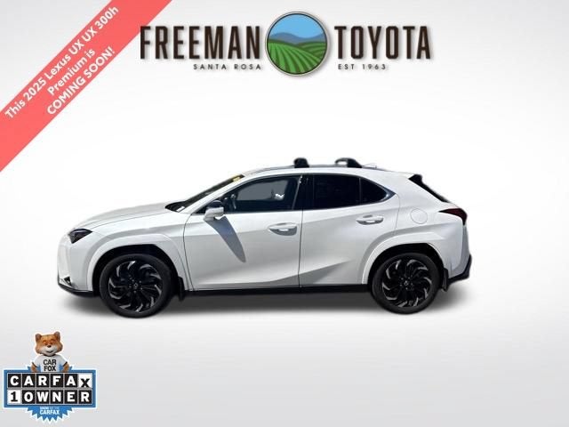2025 Lexus UX UX 300h AWD