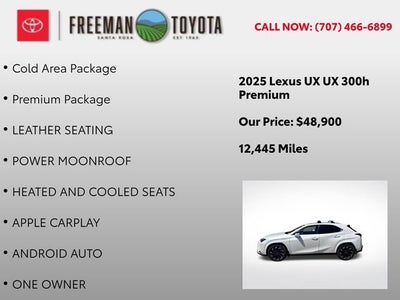 2025 Lexus UX UX 300h AWD