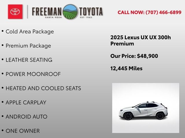 2025 Lexus UX UX 300h AWD