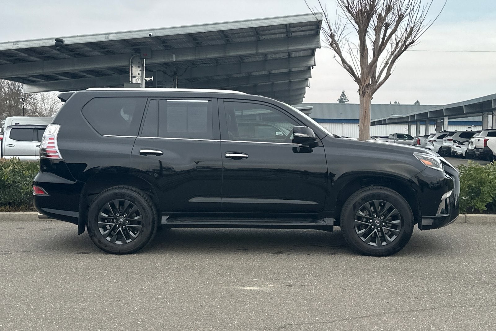 2021 Lexus GX GX 460 Premium 4WD