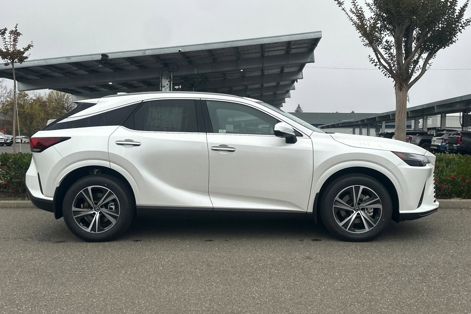 2026 Lexus RX RX 350 Premium FWD