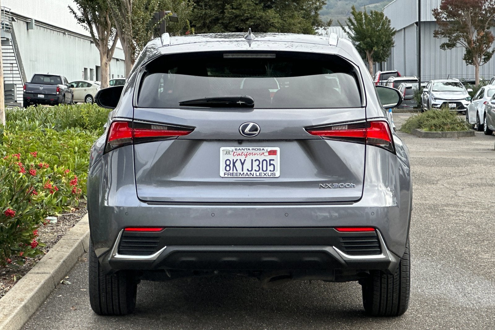 2020 Lexus NX NX 300h AWD