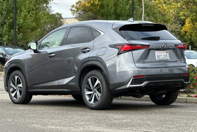 2020 Lexus NX NX 300h AWD