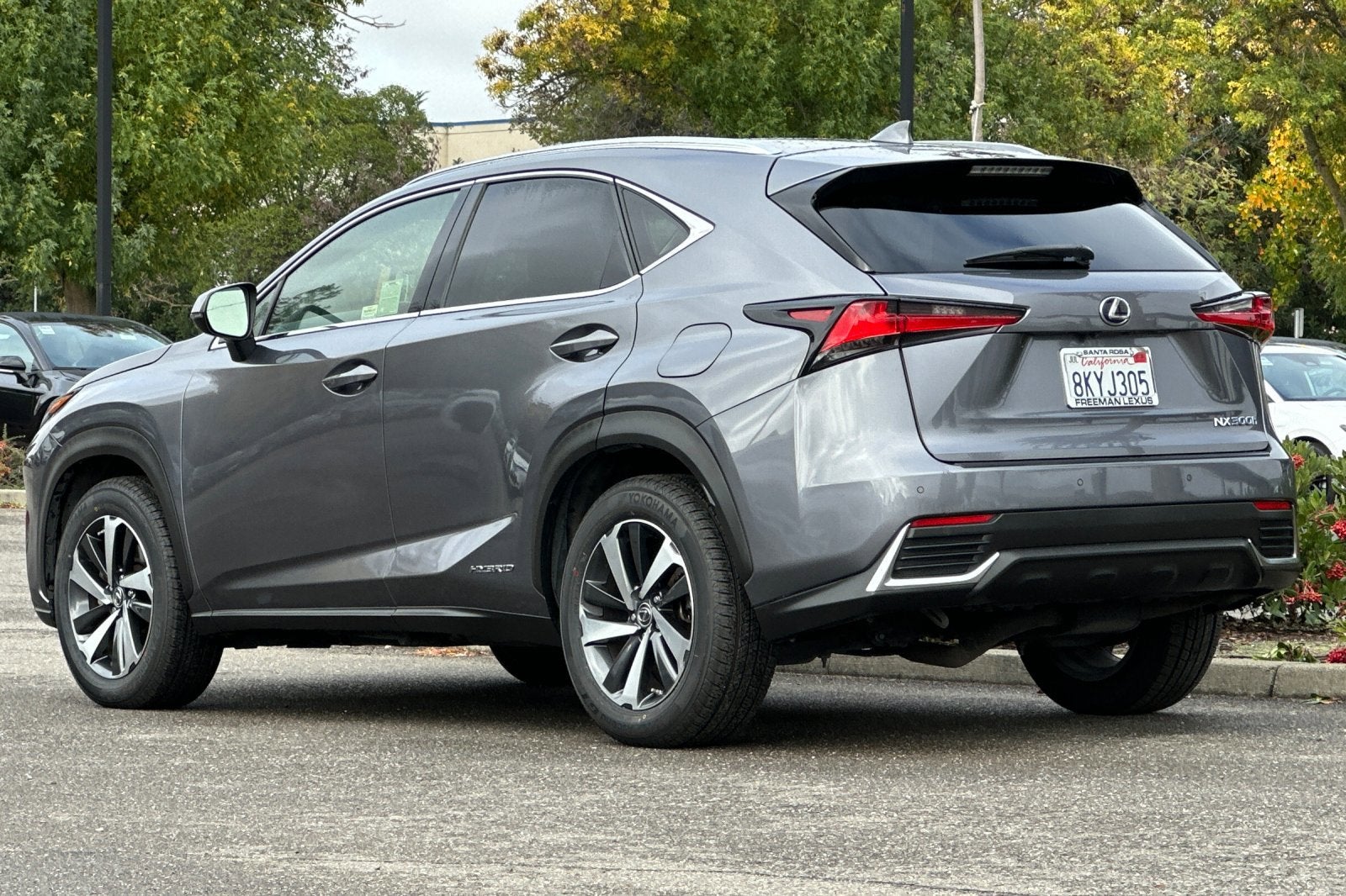 2020 Lexus NX NX 300h AWD