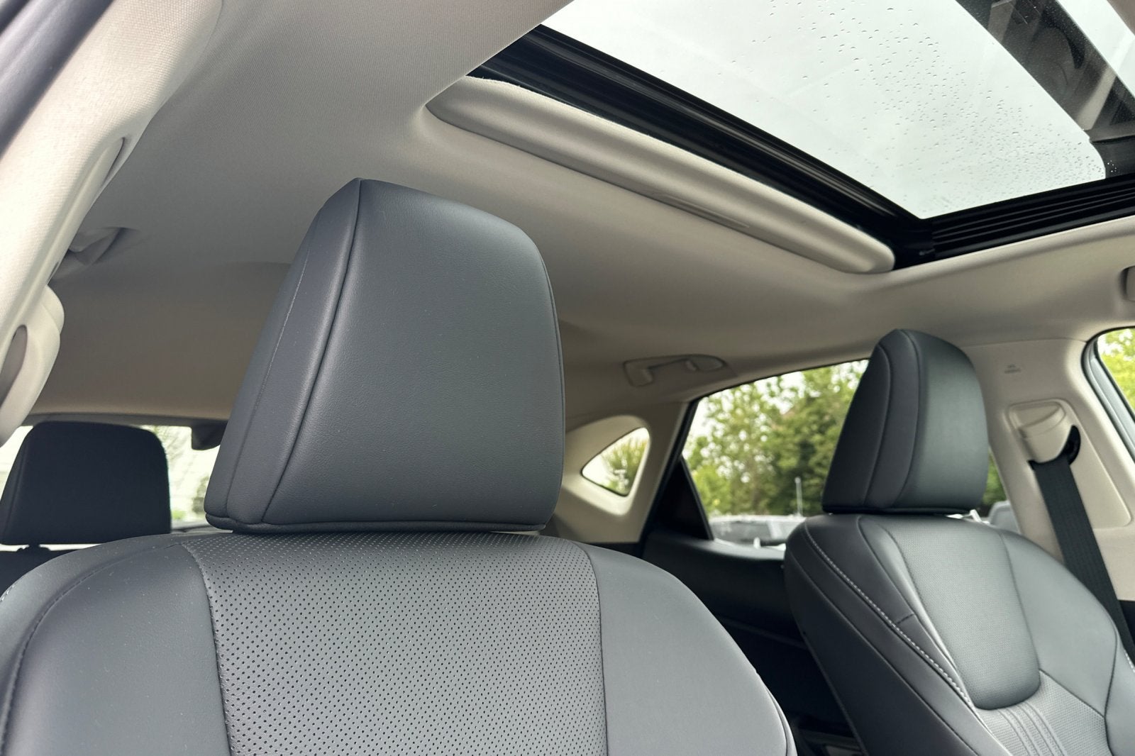 2025 Lexus NX NX 350h Premium AWD
