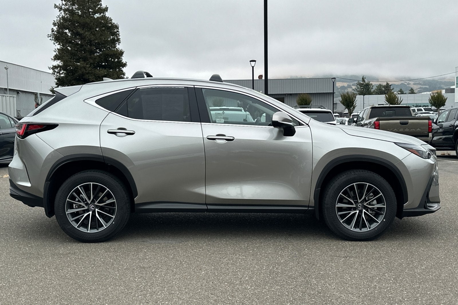 2025 Lexus NX NX 350h Premium AWD