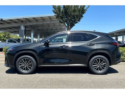 2024 Lexus NX NX 350h Premium AWD