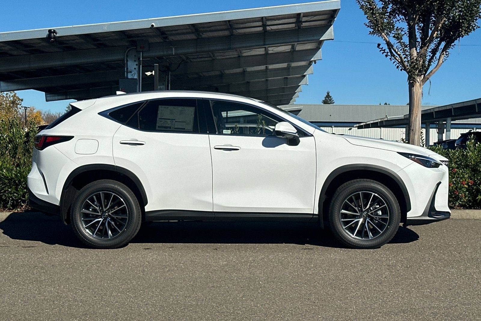 2026 Lexus NX PREMIUM PLUS AWD