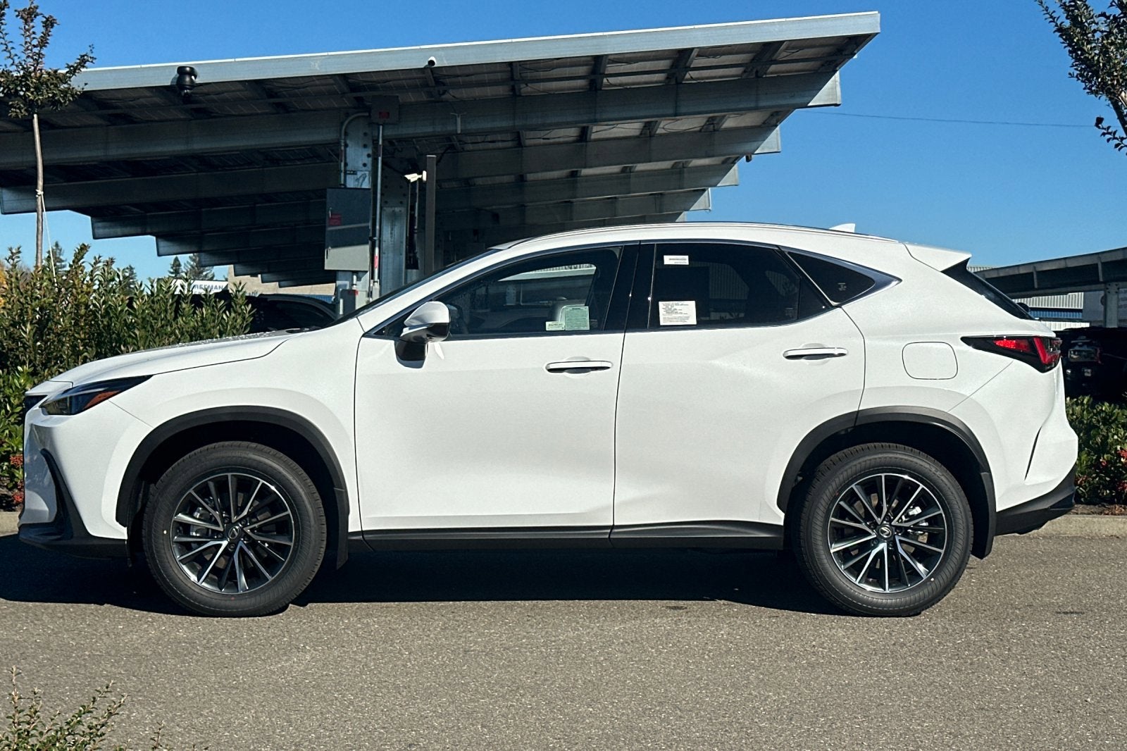 2026 Lexus NX PREMIUM PLUS AWD