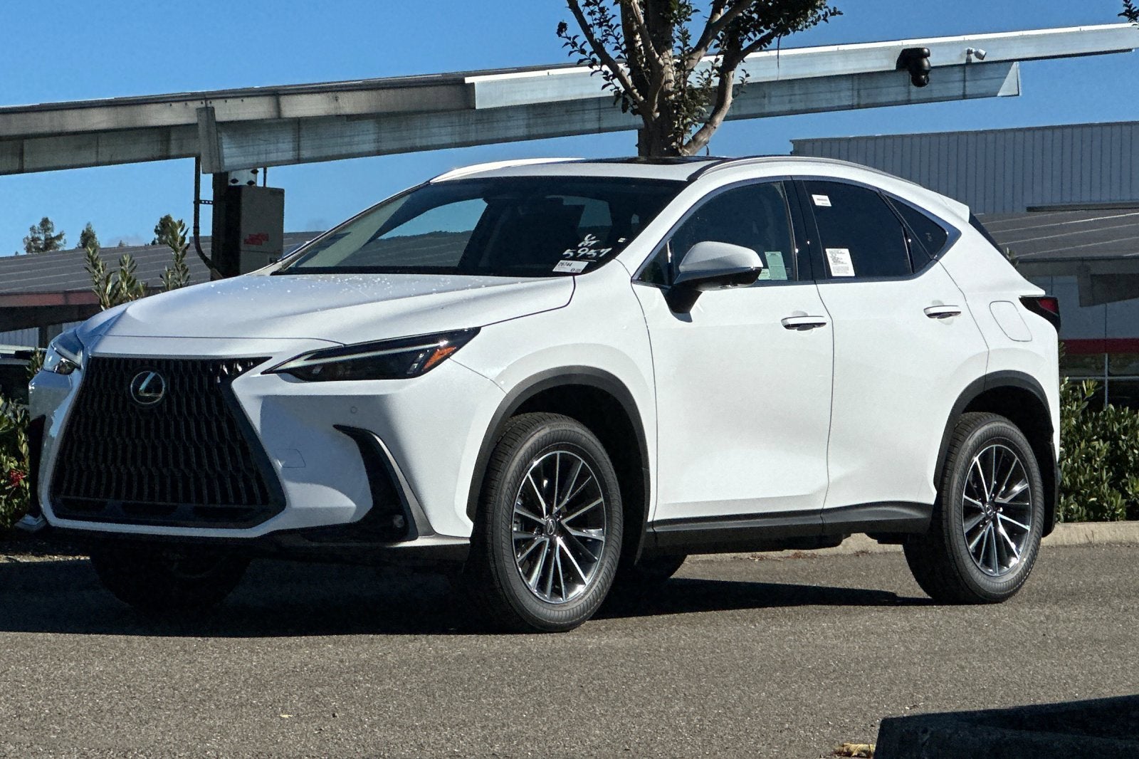 2026 Lexus NX PREMIUM PLUS AWD