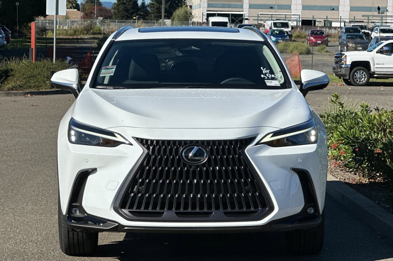 2026 Lexus NX PREMIUM PLUS AWD