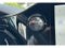 2024 Lexus NX NX 450h+ F SPORT Handling AWD