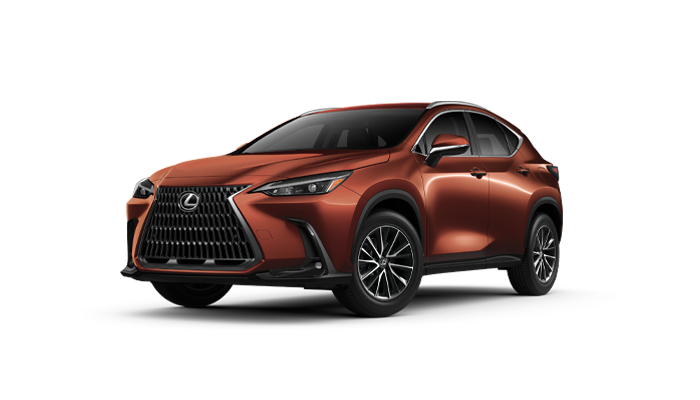 2026 Lexus NX at Freeman Lexus in Santa Rosa CA